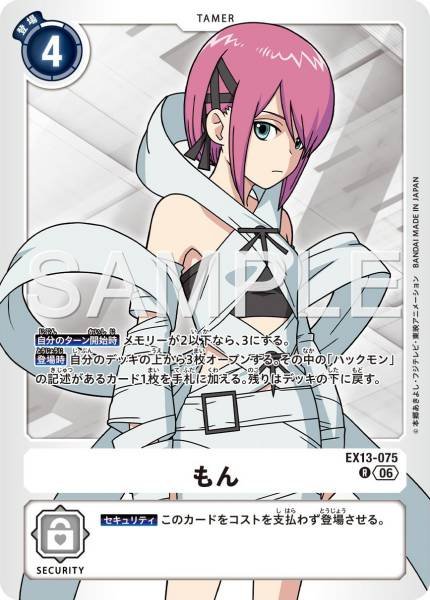 EX13-075 (R) 小紋