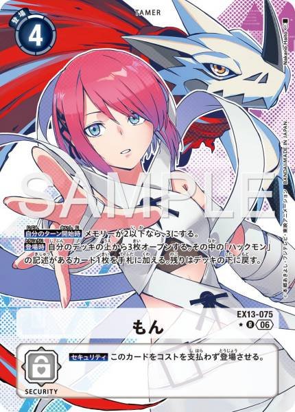 EX13-075 (R) 小紋
